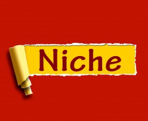 Choose Your Niche