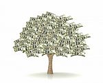 tree-money-10013382