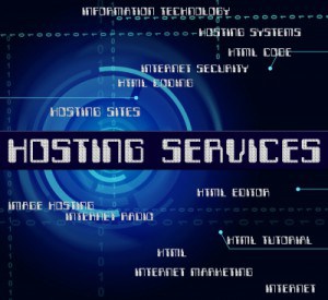 Hosting Provider Services