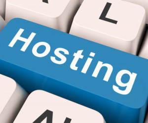 Domain Names & Hosting are two different things.