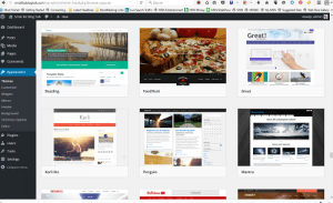 ScreenShot WordPress Themes