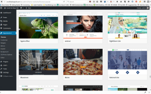 Screenshot WordPress Themes