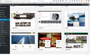 Screenshot WordPress Themes